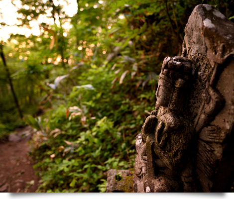 Nikon AF-S NIKKOR 20mm f/1.8 G ED by  in  - EC MALL