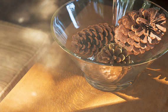 Canon EF 24-105mm f/3.5-5.6 IS STM by  in  - EC MALL