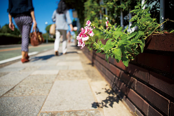 Canon EF 24-105mm f/3.5-5.6 IS STM by  in  - EC MALL