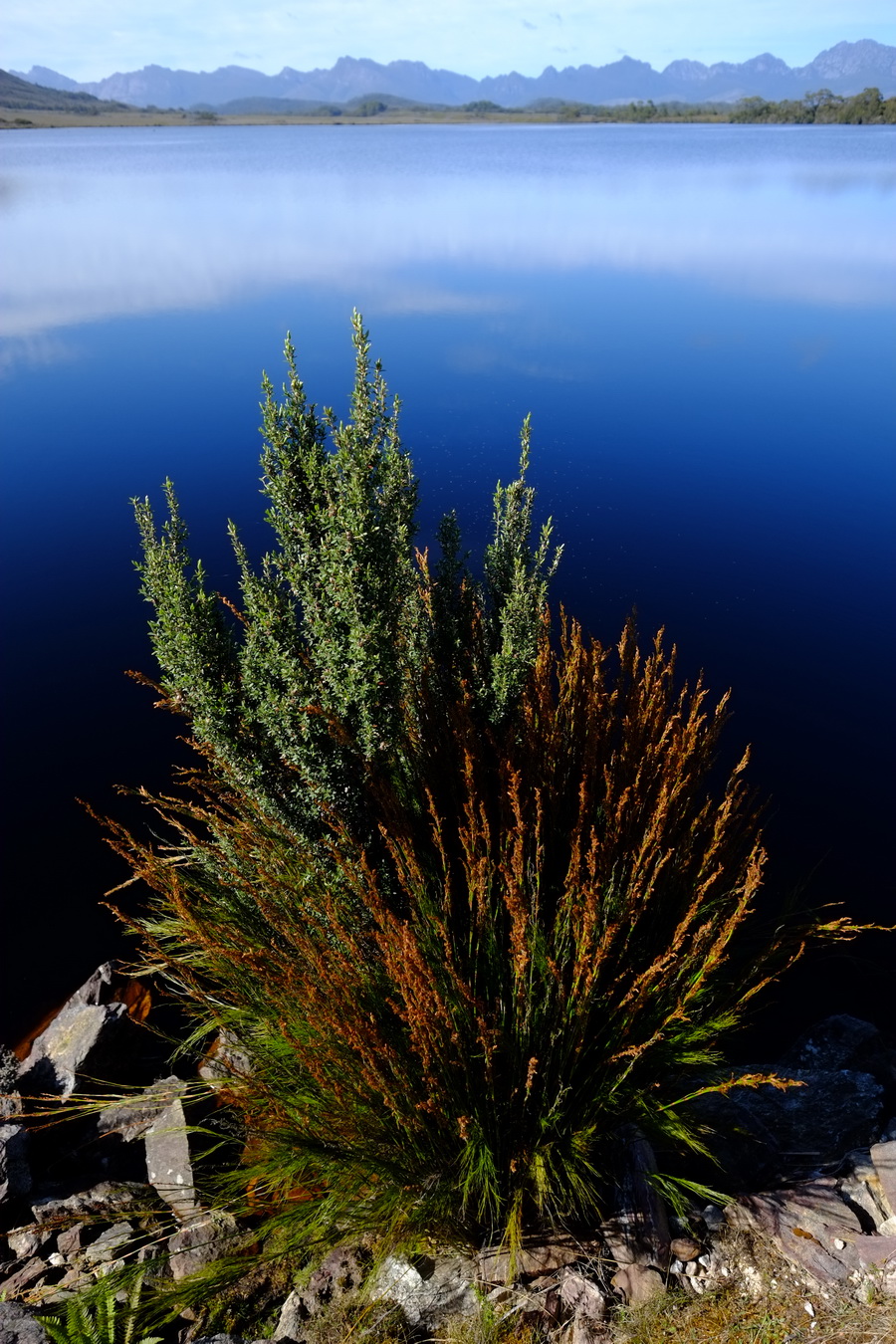 Fujifilm Fujinon XF 14mm f/2.8 R Lens by  in  - EC MALL