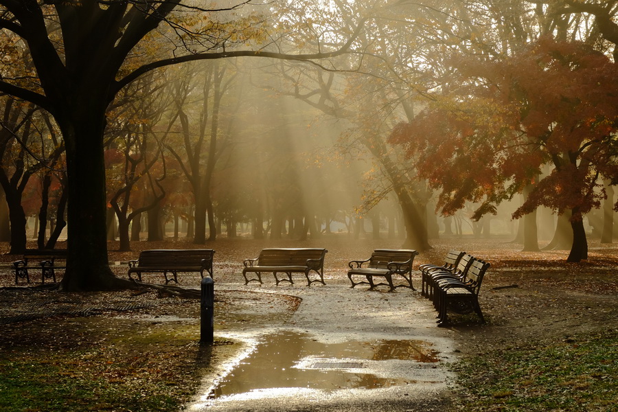 Fujifilm Fujinon XF 16-55mm f/2.8 R LM WR Lens by  in  - EC MALL