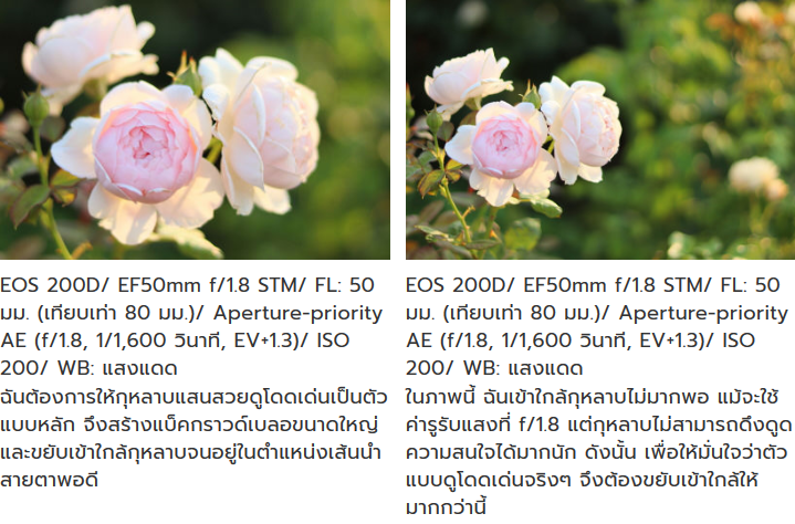 Canon EF 50mm f/1.8 STM by  in  - EC MALL