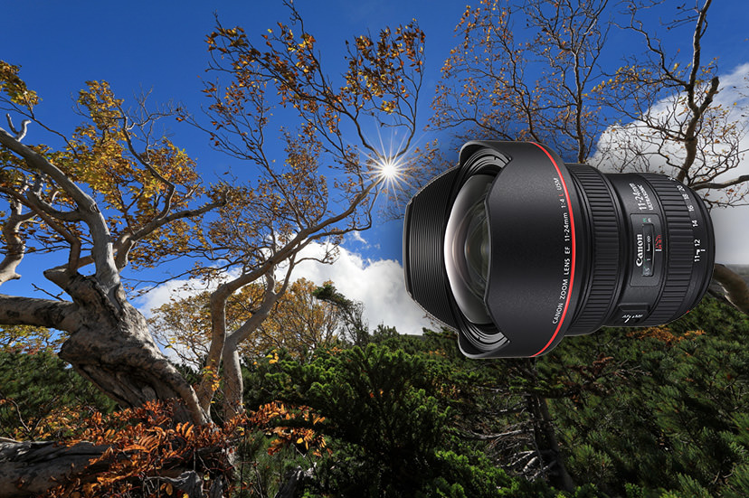 Canon EF 11-24mm f/4L USM by  in  - EC MALL