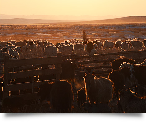 Nikon AF-S DX NIKKOR 16-80mm f/2.8-4E ED VR | ตัว Demo Clerance Sale by  in  - EC MALL