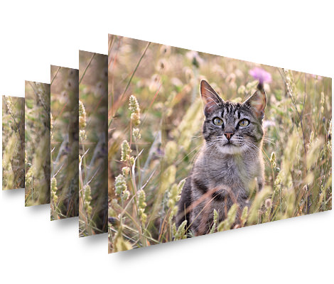 Nikon AF-S NIKKOR 24-70mm f/2.8E ED VR by  in  - EC MALL