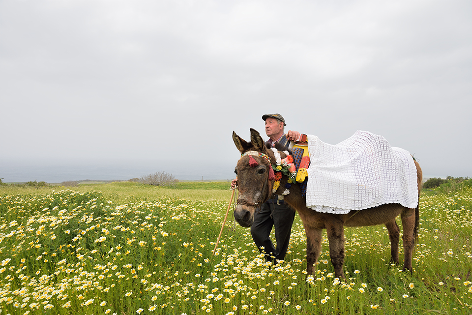 Nikon AF-S DX NIKKOR 16-80mm f/2.8-4E ED VR | ตัว Demo Clerance Sale by  in  - EC MALL