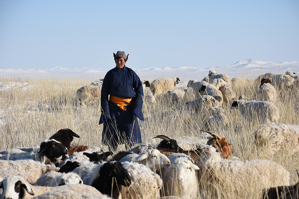 Nikon AF-S DX NIKKOR 16-80mm f/2.8-4E ED VR | ตัว Demo Clerance Sale by  in  - EC MALL