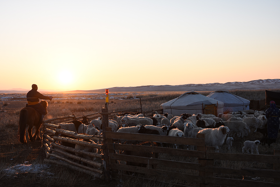 Nikon AF-S DX NIKKOR 16-80mm f/2.8-4E ED VR | ตัว Demo Clerance Sale by  in  - EC MALL