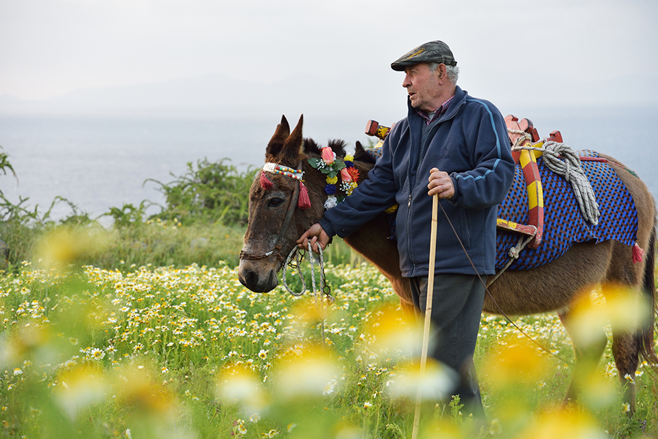 Nikon AF-S DX NIKKOR 16-80mm f/2.8-4E ED VR | ตัว Demo Clerance Sale by  in  - EC MALL