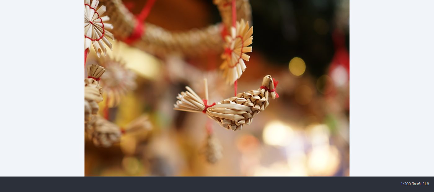 Sony Sonnar T* E 24mm f/1.8 ZA by  in  - EC MALL