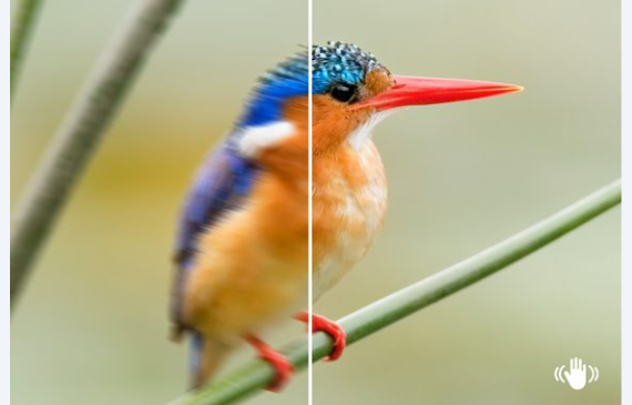 Sony E 55-210mm f/4.5-6.3 OSS Lens by  in  - EC MALL