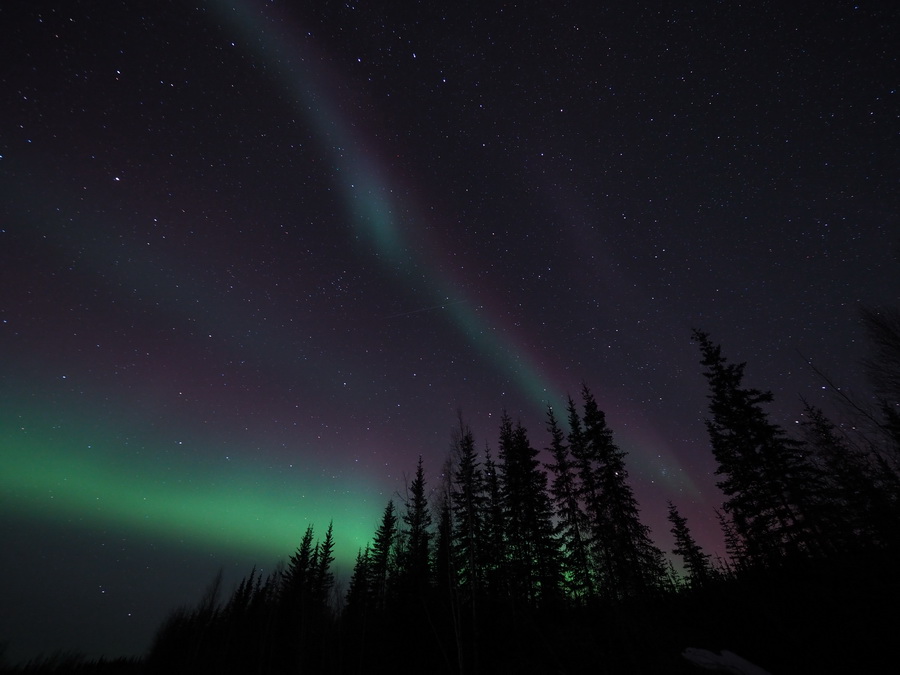 Olympus M.ZUIKO Digital ED 7-14mm f/2.8 PRO Lens by  in  - EC MALL