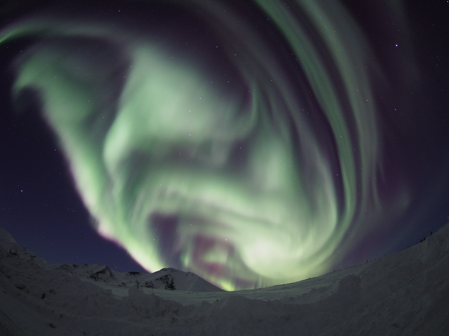 Olympus M.ZUIKO Digital ED 8mm f/1.8 Fisheye PRO by  in  - EC MALL