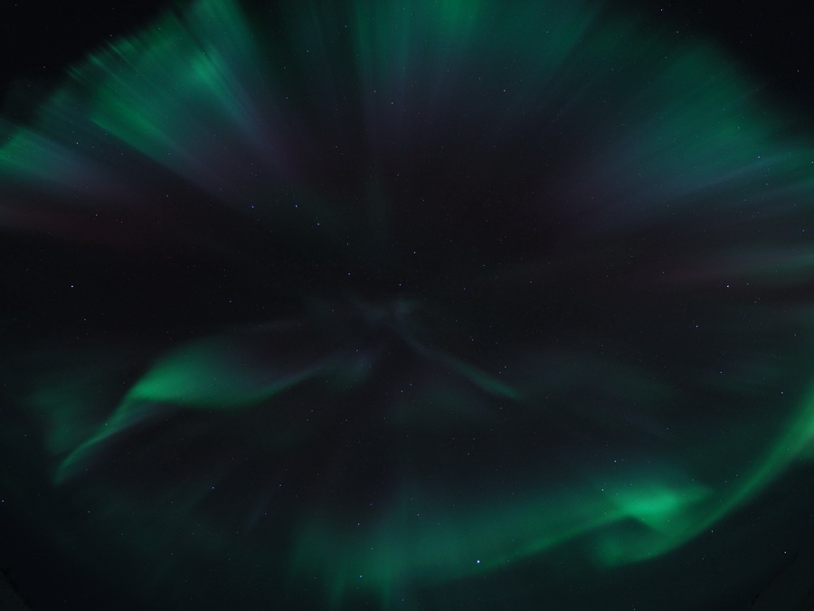 Olympus M.ZUIKO Digital ED 8mm f/1.8 Fisheye PRO by  in  - EC MALL