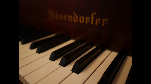 Panasonic Leica DG Summilux 15mm f/1.7 ASPH by in - EC MALL