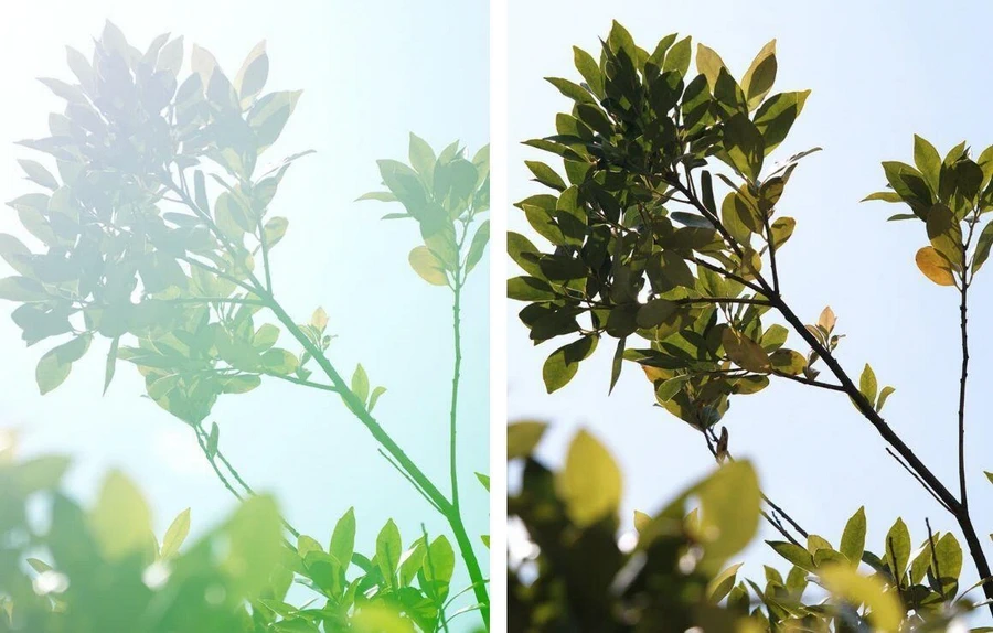 Sigma 30mm f/1.4 DC DN Contemporary Lens by  in  - EC MALL