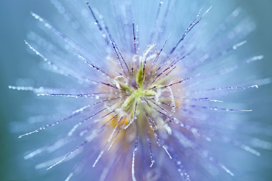 Tamron SP 90mm f/2.8 Di VC USD (F017) (สินค้าขาดชั่วคราว เช็คสินค้าก่อนสั่งซื้อ) by  in  - EC MALL