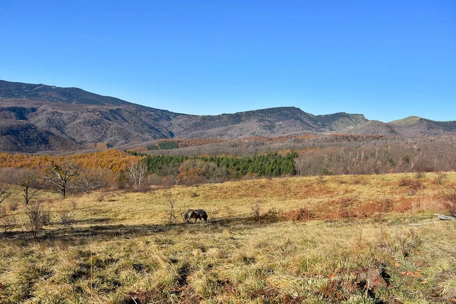 Tokina AT-X 14-20mm f/2 PRO DX by  in  - EC MALL
