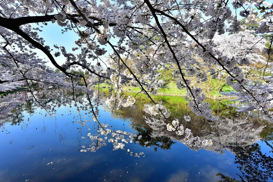 Tokina AT-X 14-20mm f/2 PRO DX by  in  - EC MALL