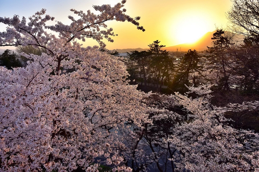Tokina AT-X 14-20mm f/2 PRO DX by  in  - EC MALL