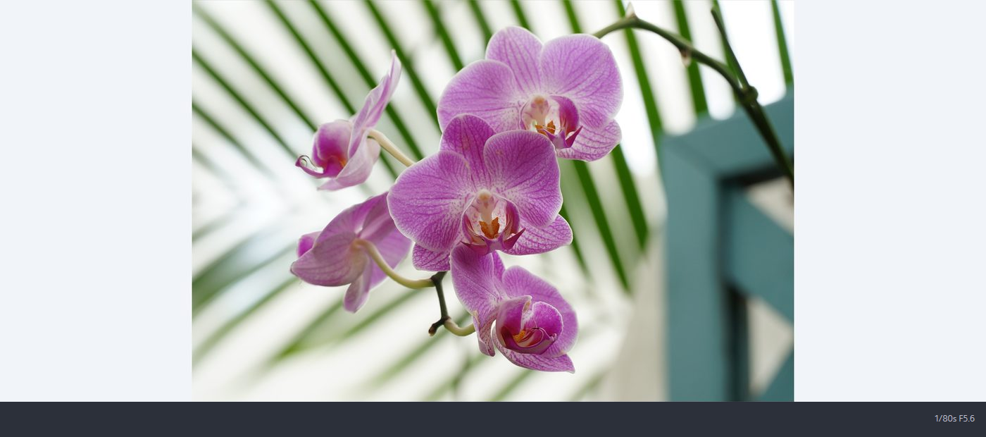 Sony E PZ 18-105mm f/4 G OSS Lens by  in  - EC MALL