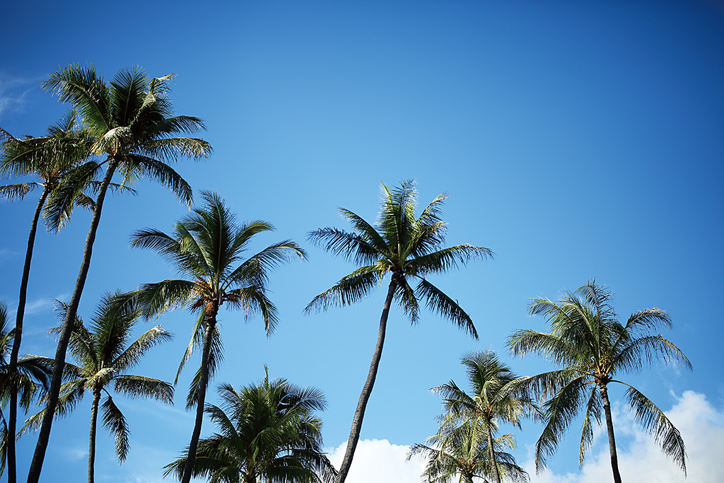 Canon EF 35mm f/1.4L II USM by  in  - EC MALL