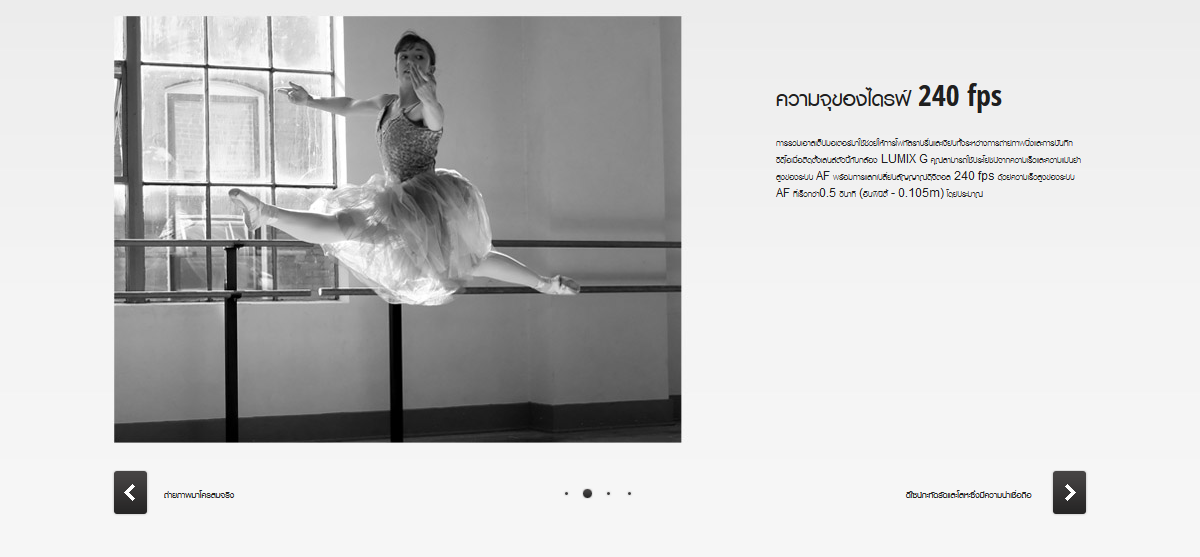 Panasonic LUMIX G MACRO 30mm f/2.8 ASPH. MEGA O.I.S. by  in  - EC MALL