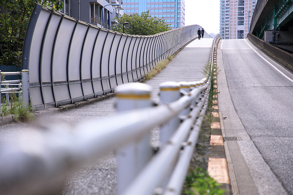 Canon EF 24-105mm f/4L IS II USM Lens by  in  - EC MALL