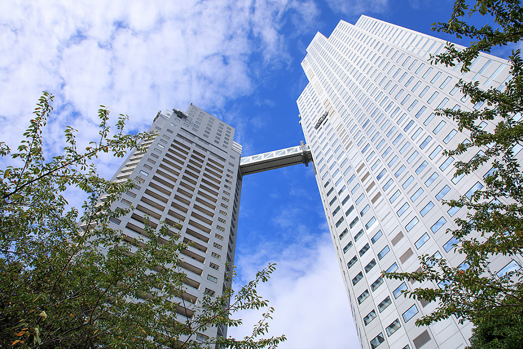 Canon EF 24-105mm f/4L IS II USM Lens by  in  - EC MALL