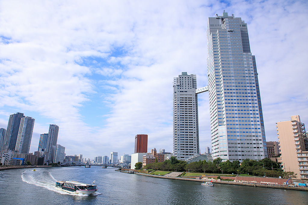 Canon EF 24-105mm f/4L IS II USM Lens by  in  - EC MALL