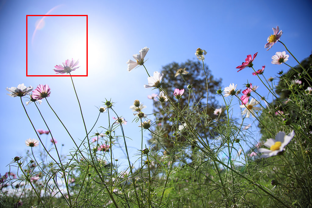 Canon EF 24-105mm f/4L IS II USM Lens by  in  - EC MALL