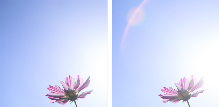 Canon EF 24-105mm f/4L IS II USM Lens by  in  - EC MALL