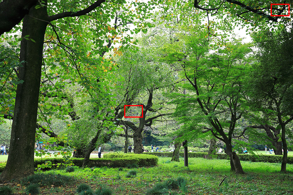 Canon EF 24-105mm f/4L IS II USM Lens by  in  - EC MALL