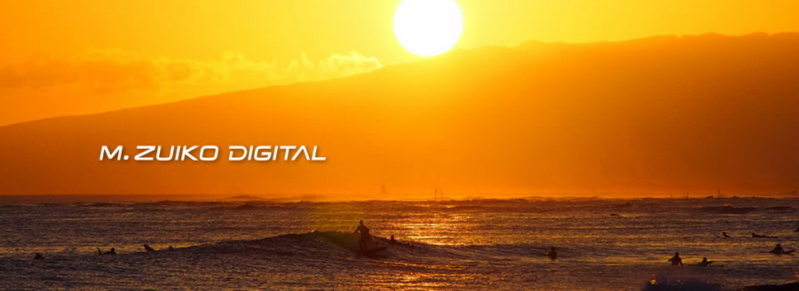 Olympus M.Zuiko Digital ED 40-150mm f/4.0-5.6 R by  in  - EC MALL