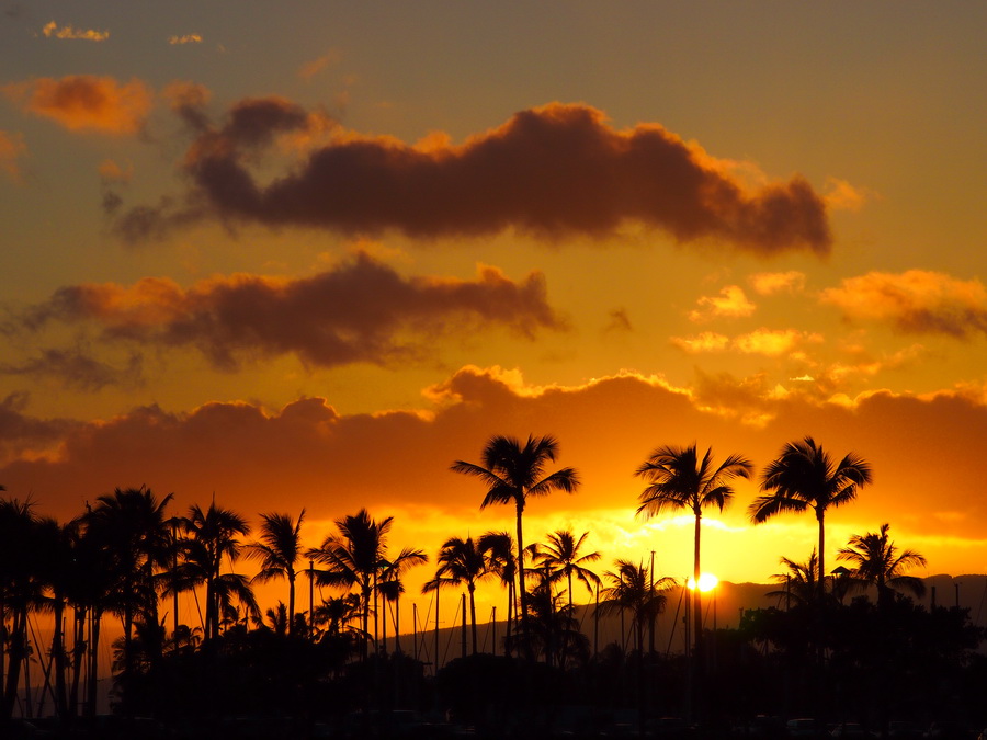 Olympus M.Zuiko Digital ED 40-150mm f/4.0-5.6 R by  in  - EC MALL