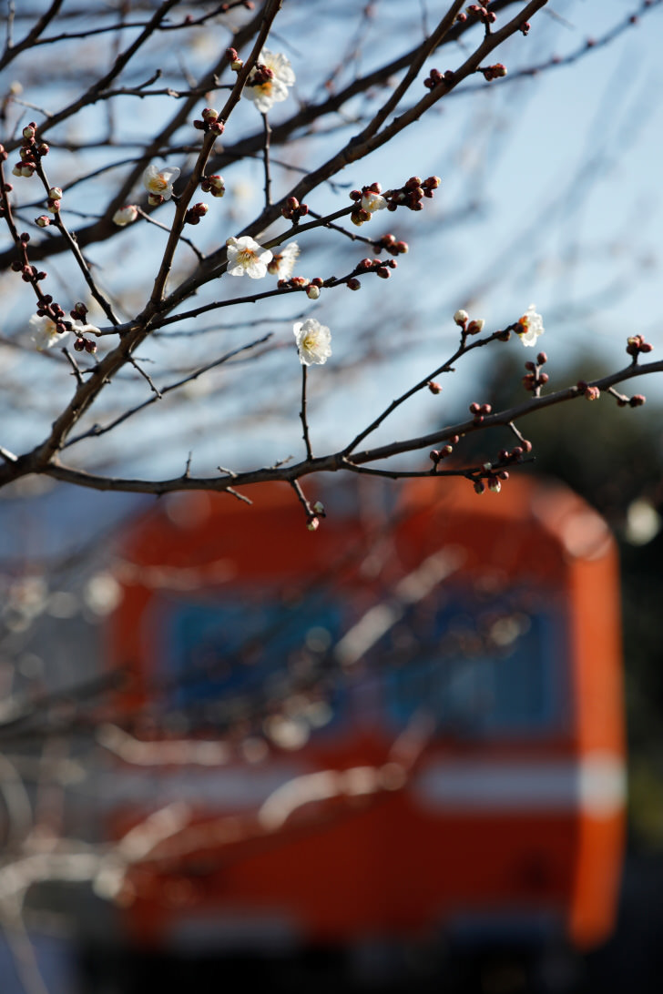 Canon EF 70-300mm f/4-5.6 IS II USM Lens by  in  - EC MALL