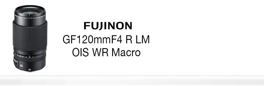 Fujifilm Fujinon GF 120mm f/4 Macro R LM OIS WR by  in  - EC MALL