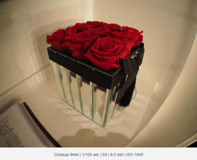 Olympus 9mm f/8 Fisheye Body Cap by  in  - EC MALL