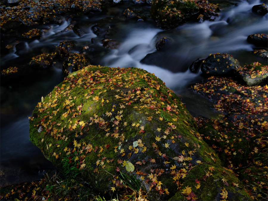 Fujifilm Fujinon GF 32-64mm f/4 R LM WR by  in  - EC MALL