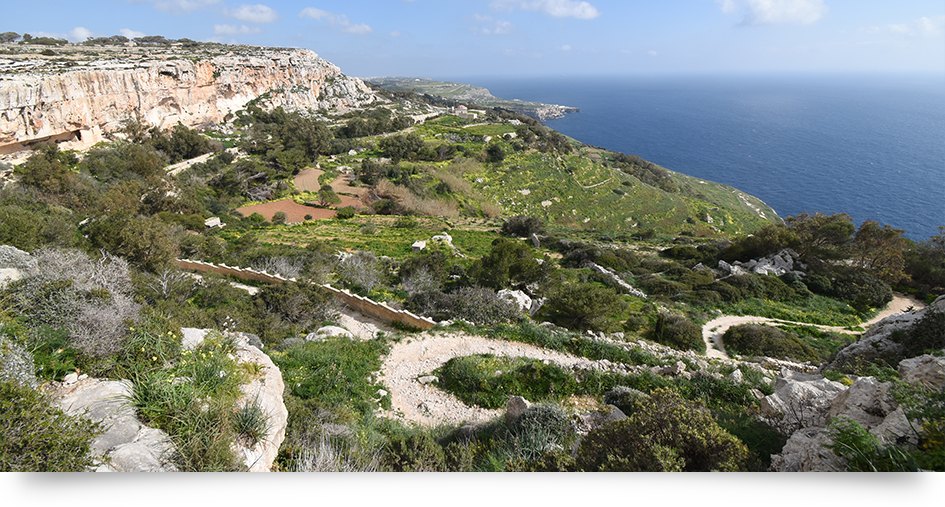 Nikon AF-P DX NIKKOR 10-20mm f/4.5-5.6G VR by  in  - EC MALL