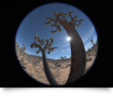 Nikon AF-S NIKKOR 8-15mm f/3.5-4.5E ED Fisheye by  in  - EC MALL