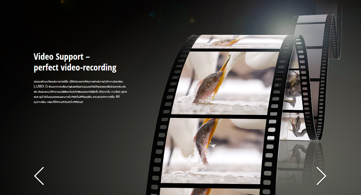 Panasonic Leica DG Vario-Elmarit 12-60mm f/2.8-4 ASPH. POWER O.I.S. by  in  - EC MALL