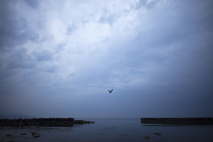 Sigma 14mm f/1.8 DG HSM (A) by  in  - EC MALL