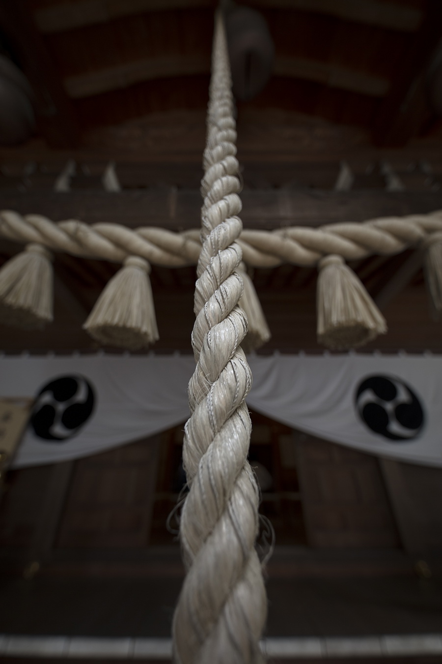 Sigma 14mm f/1.8 DG HSM (A) by  in  - EC MALL