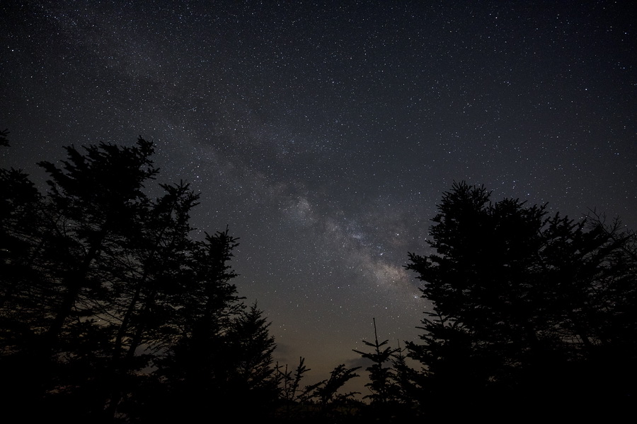 Sigma 14mm f/1.8 DG HSM (A) by  in  - EC MALL