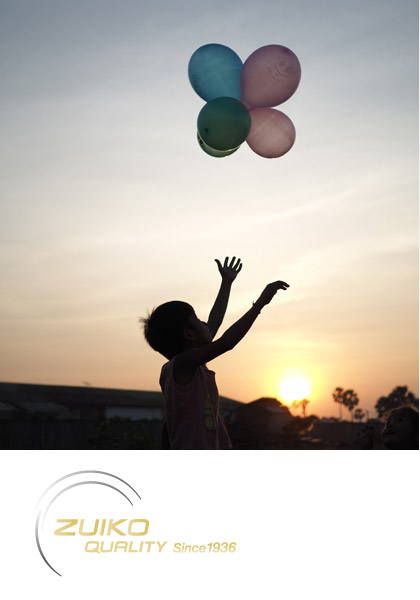 Olympus M.Zuiko Digital 25mm f/1.8 Lens by  in  - EC MALL