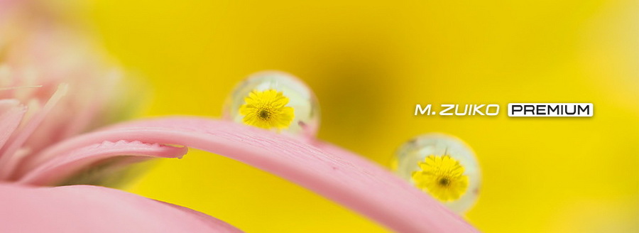 Olympus M.Zuiko Digital ED 30mm f/3.5 Macro by  in  - EC MALL