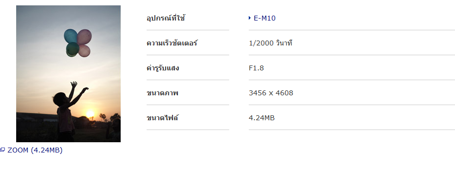 Olympus M.Zuiko Digital 25mm f/1.8 Lens by  in  - EC MALL