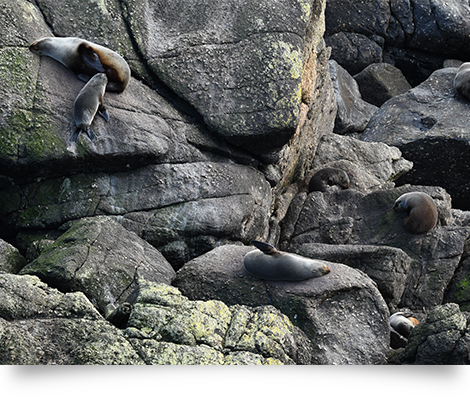 Nikon D850 Full-Frame Camera by  in  - EC MALL