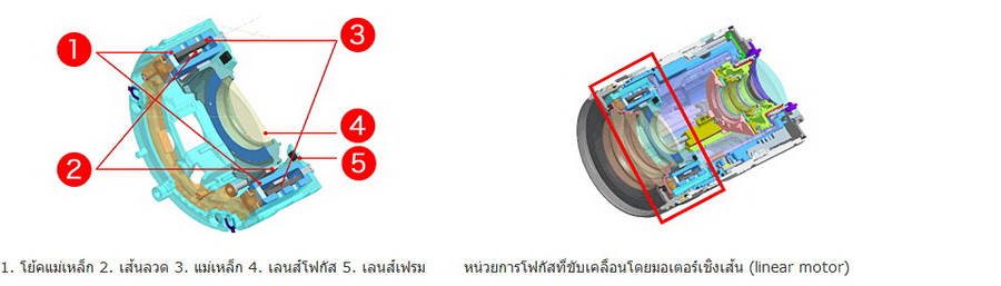 Olympus M.Zuiko Digital ED 12-50mm f/3.5-6.3 EZ by in - EC MALL